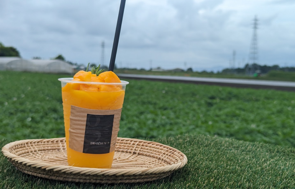 画像の説明 画像の説明