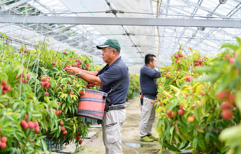 画像の説明 画像の説明