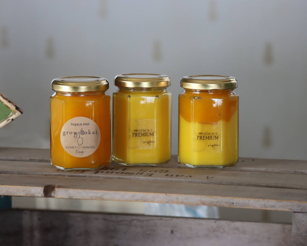 画像の説明 画像の説明