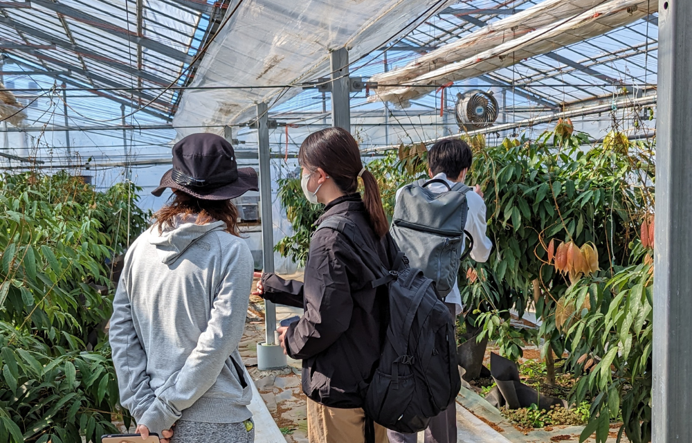 画像の説明 画像の説明